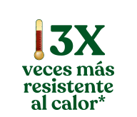 Aceite Girasol Alto Oleico